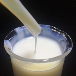Emulsion Acrylique Styrène
