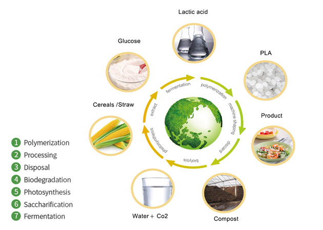 Matériau d'emballage alimentaire biodégradable - La résine de granulés PLA est devenue la nouvelle coqueluche de l'industrie de l'emballage alimentaire
