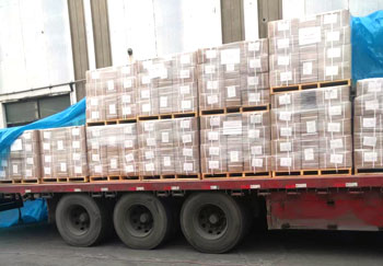 Quelle est la stabilité thermique du polypropylène chloré (CPP) ?