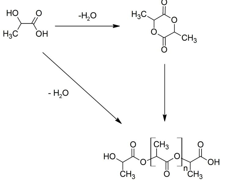le processus de l'acide polylactique